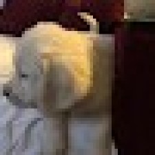 Avatar for Måns from gravatar.com