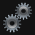 Avatar for t8945 from gravatar.com