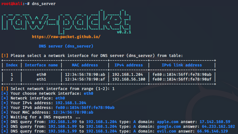 dns_server.py output