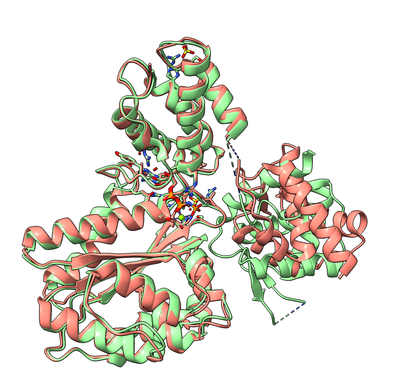 1W5S (green) and 1W5T (red) structures