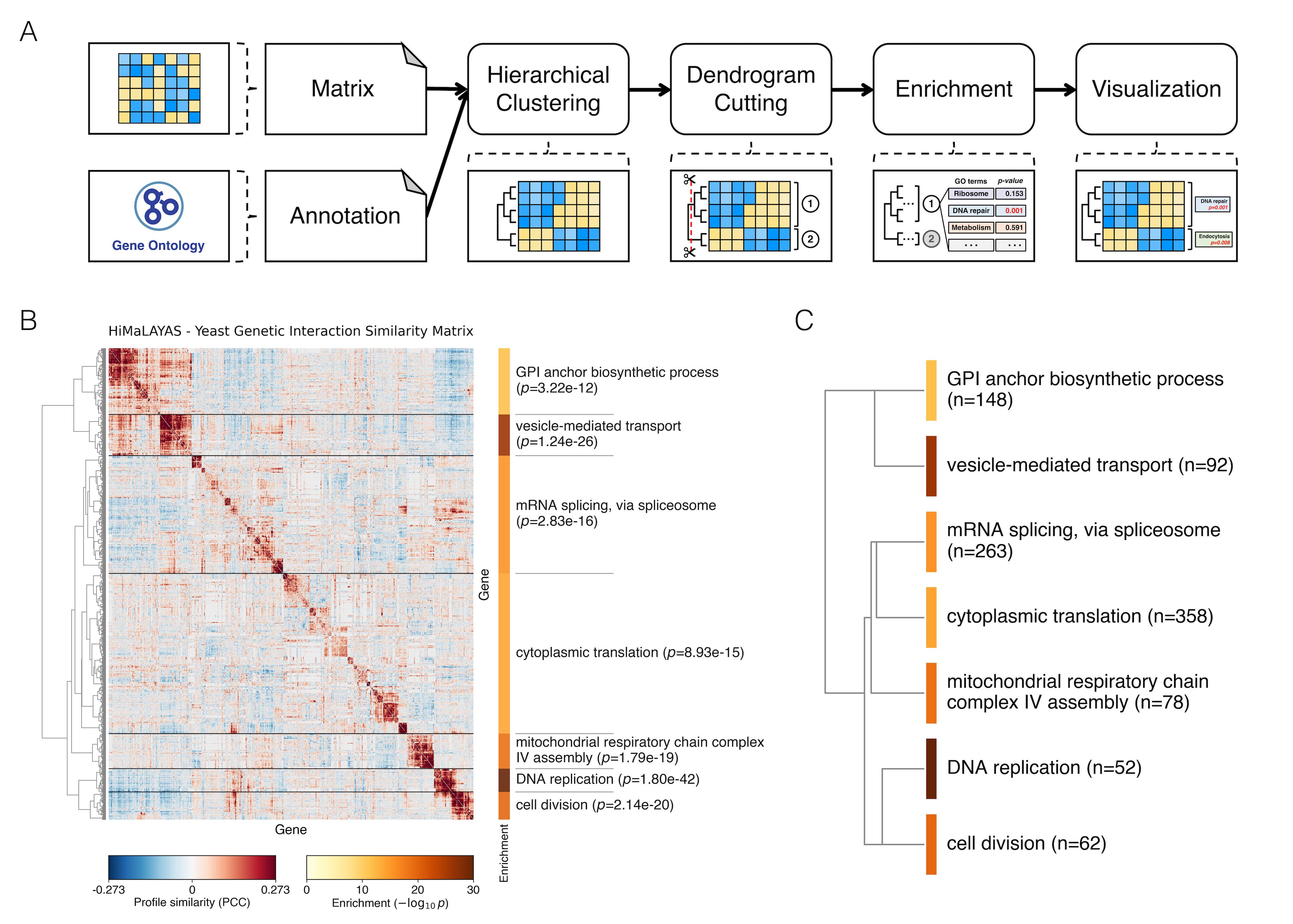 HiMaLAYAS workflow overview