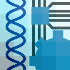 Avatar for Informationsea from gravatar.com