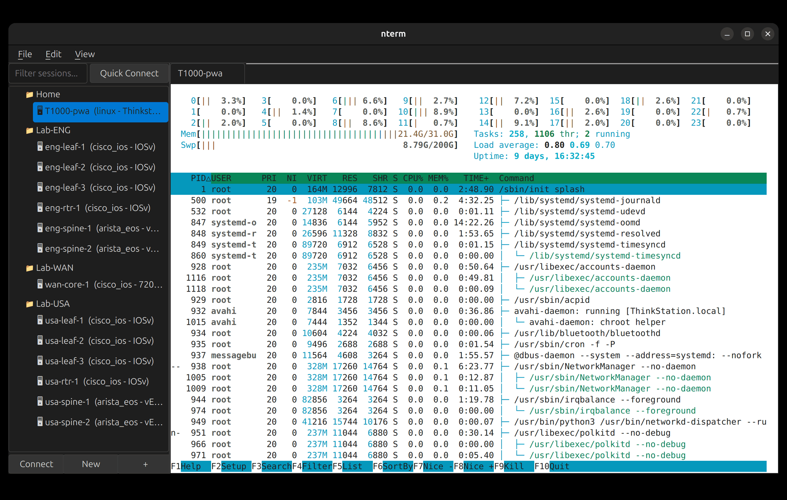 nterm screenshot