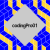 Avatar for codingPro01 from gravatar.com