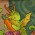 Avatar for Evirir from gravatar.com