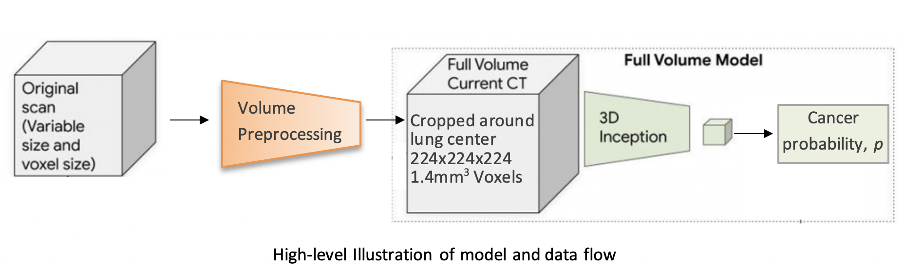 Model Workflow