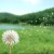 Avatar for anhhv from gravatar.com