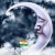 Avatar for vigneshravi29 from gravatar.com