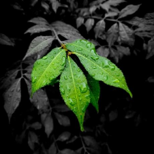 Avatar for Om Mishra from gravatar.com