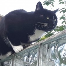 Avatar for Baldur from gravatar.com