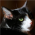 Avatar for sunnyden from gravatar.com