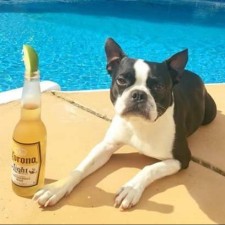 Avatar for Gary Steele from gravatar.com