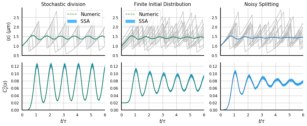 SizeStatisticsComp