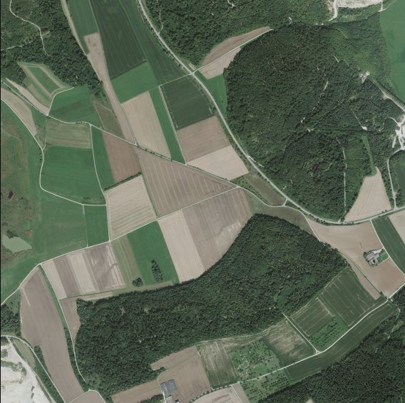 Reference Orthophoto