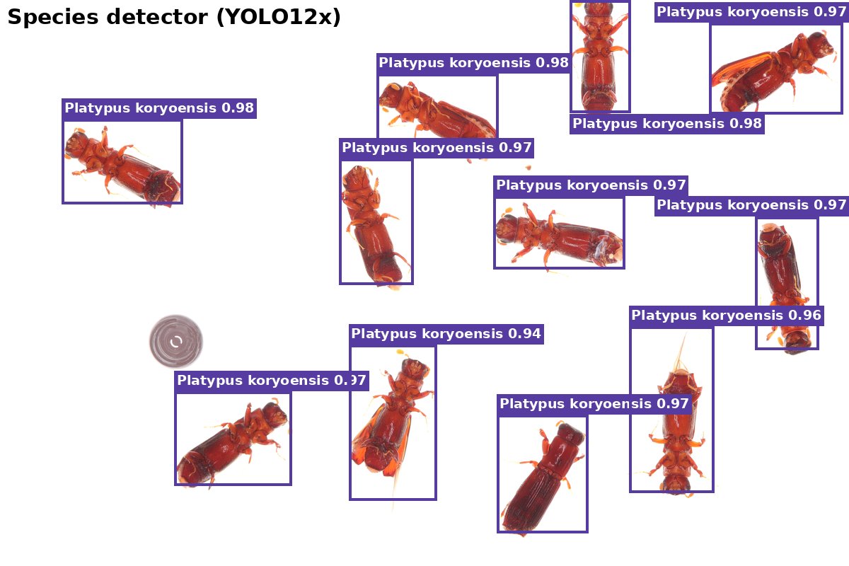 Species detection