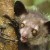 Avatar for csaxton from gravatar.com