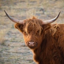 Avatar for Fabian Greif from gravatar.com