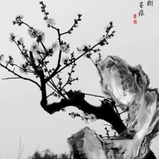 Avatar for junheng zhu from gravatar.com
