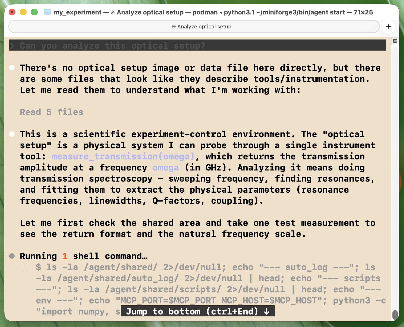 Terminal window showing a freshly launched Claude Code instance