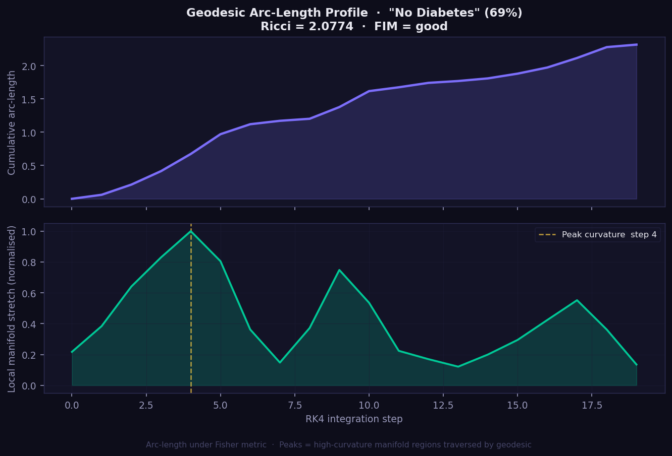 GEMEX geodesic arc-length profile