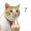 Avatar for vaito from gravatar.com