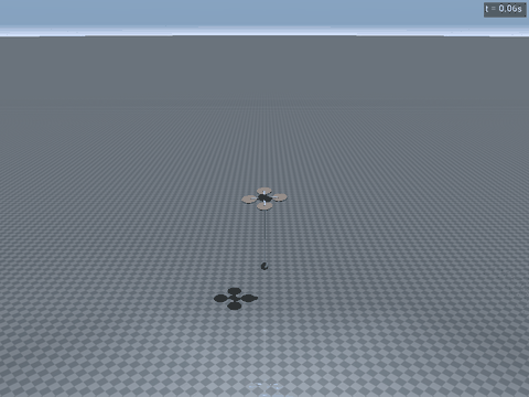 Quad + Payload (tendon)