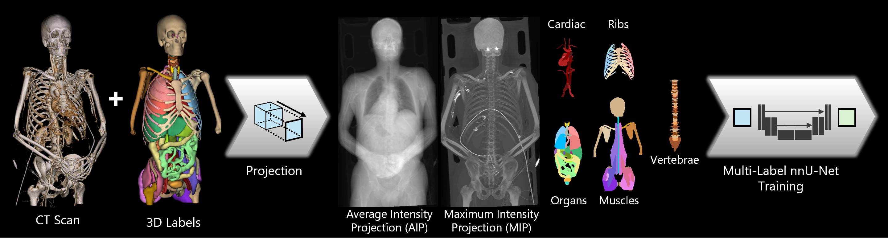 Overview of our method.