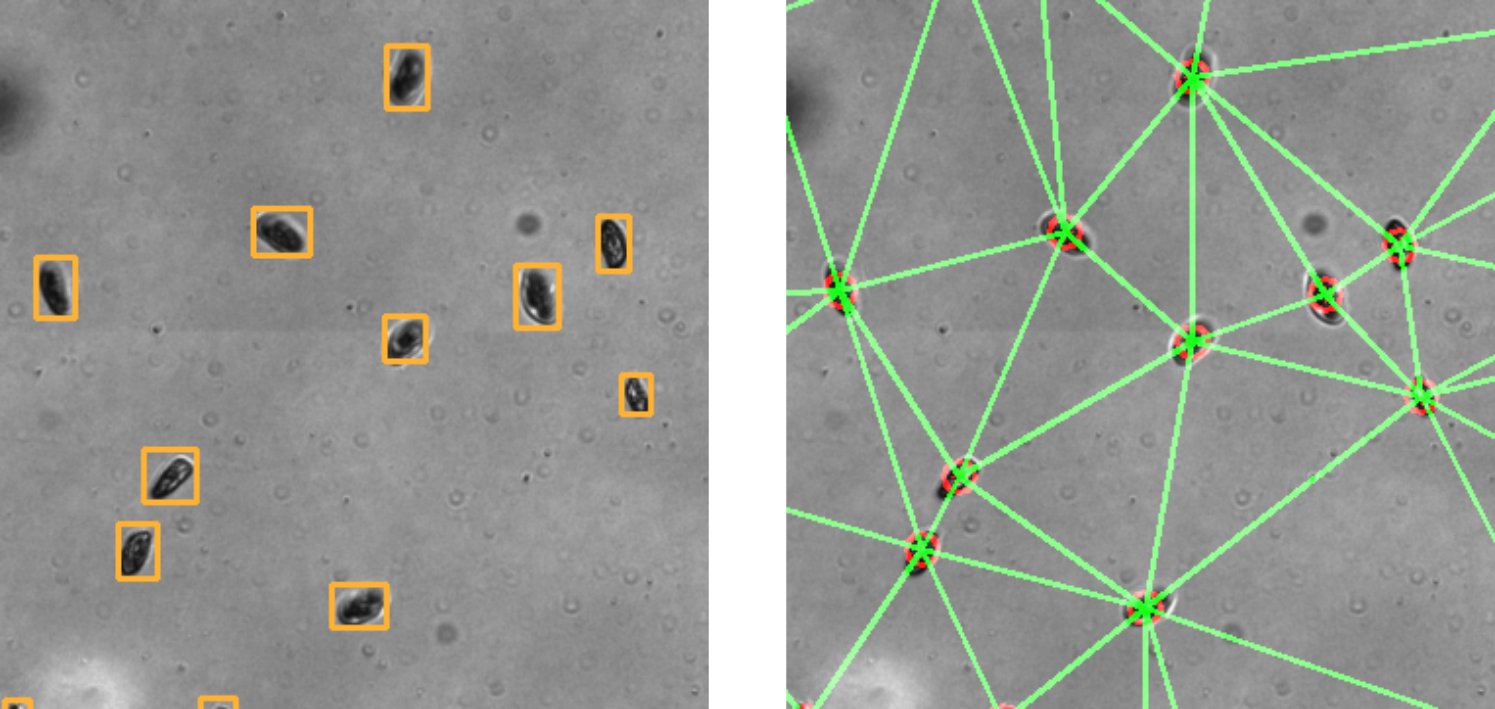 Detection to Graph