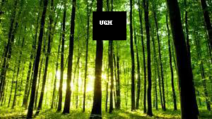 https://raw.githubusercontent.com/montoyamoraga/protestpy/gh-pages/example-trees/8.png