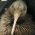 Avatar for jackr4bbit from gravatar.com