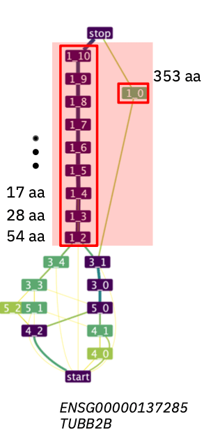 ASPRING nomenclature explained using a ThorAxe Evolutionary Splicing Graph (ESG). The image shows an ASRU composed by two ASPRs, one of them composed by multiple s-exons.