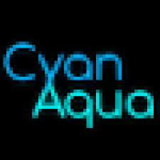 Avatar for CyanAqua from gravatar.com
