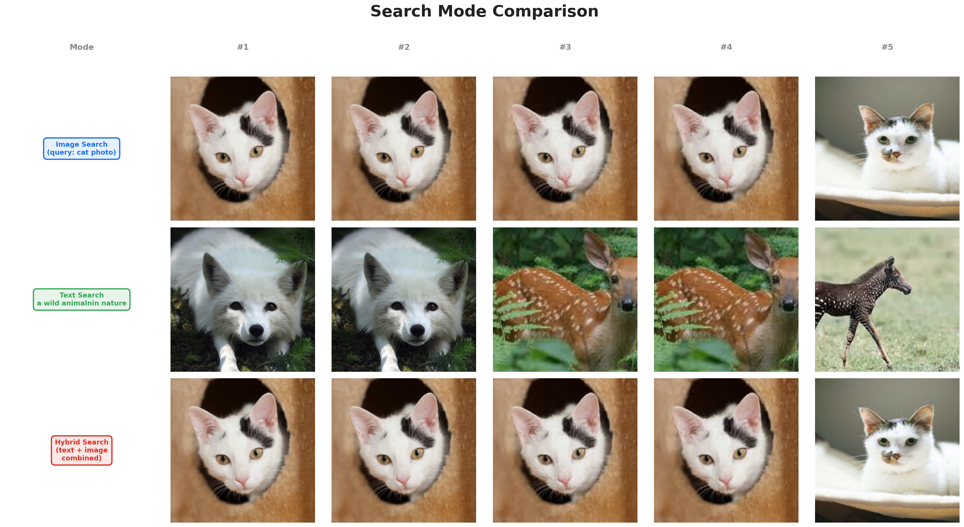 Search Mode Comparison