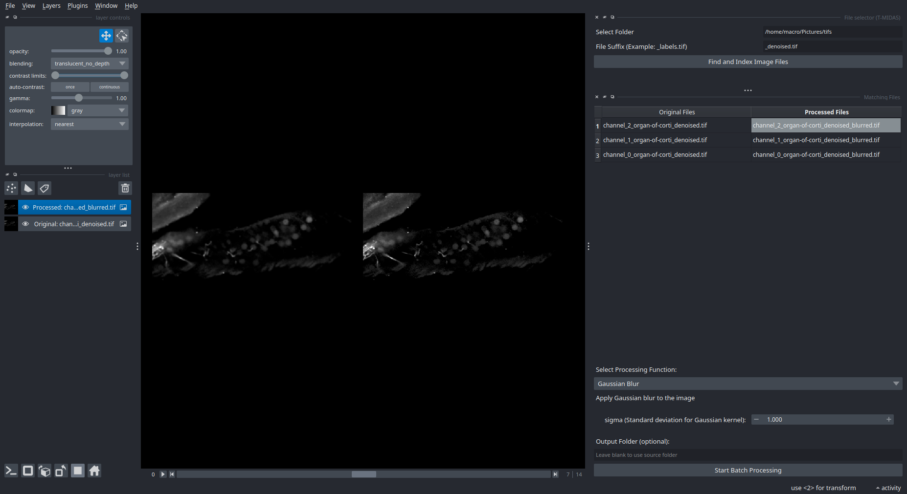 Image Processing Widget