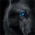 Avatar for barbosa from gravatar.com