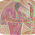 Avatar for ThotDjehuty from gravatar.com