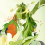 Avatar for ppazosp from gravatar.com
