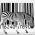 Avatar for duszykf from gravatar.com