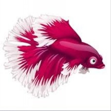 Avatar for coreyffa from gravatar.com