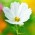 Avatar for wjx0912 from gravatar.com