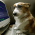 Avatar for khuynh22 from gravatar.com