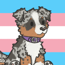 Avatar for Jamie from gravatar.com