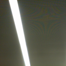 Avatar for Dylan Muir from gravatar.com