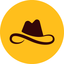 Avatar for lasso security from gravatar.com