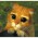 Avatar for mv2a from gravatar.com