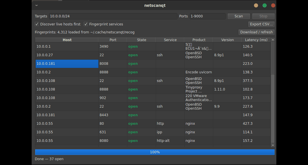 netscanqt GUI: a /24 scan with discovery and service fingerprinting, showing open ports with product and version columns