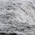 Avatar for stepintounknown from gravatar.com
