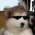 Avatar for Ziqiang from gravatar.com