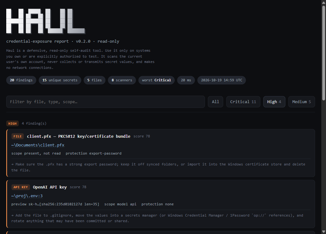 Haul HTML report filtered to High findings