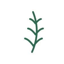 Avatar for Fernforge from gravatar.com